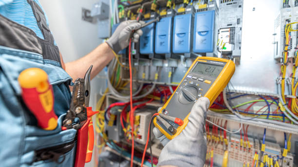 Best Electric Panel Repair  in Martin, TN